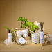 COCO_by_Stone_BlueBirch_Group_9e4f1f79-69f2-4164-a4ac-69f7ff54447a