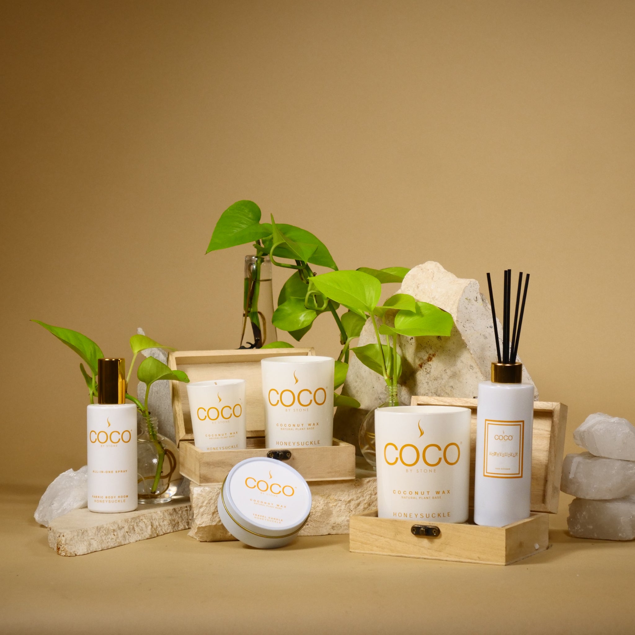 COCO_by_Stone_Honeysuckle_Group_a28012e6-8768-4354-a205-f9cf6444aaf3