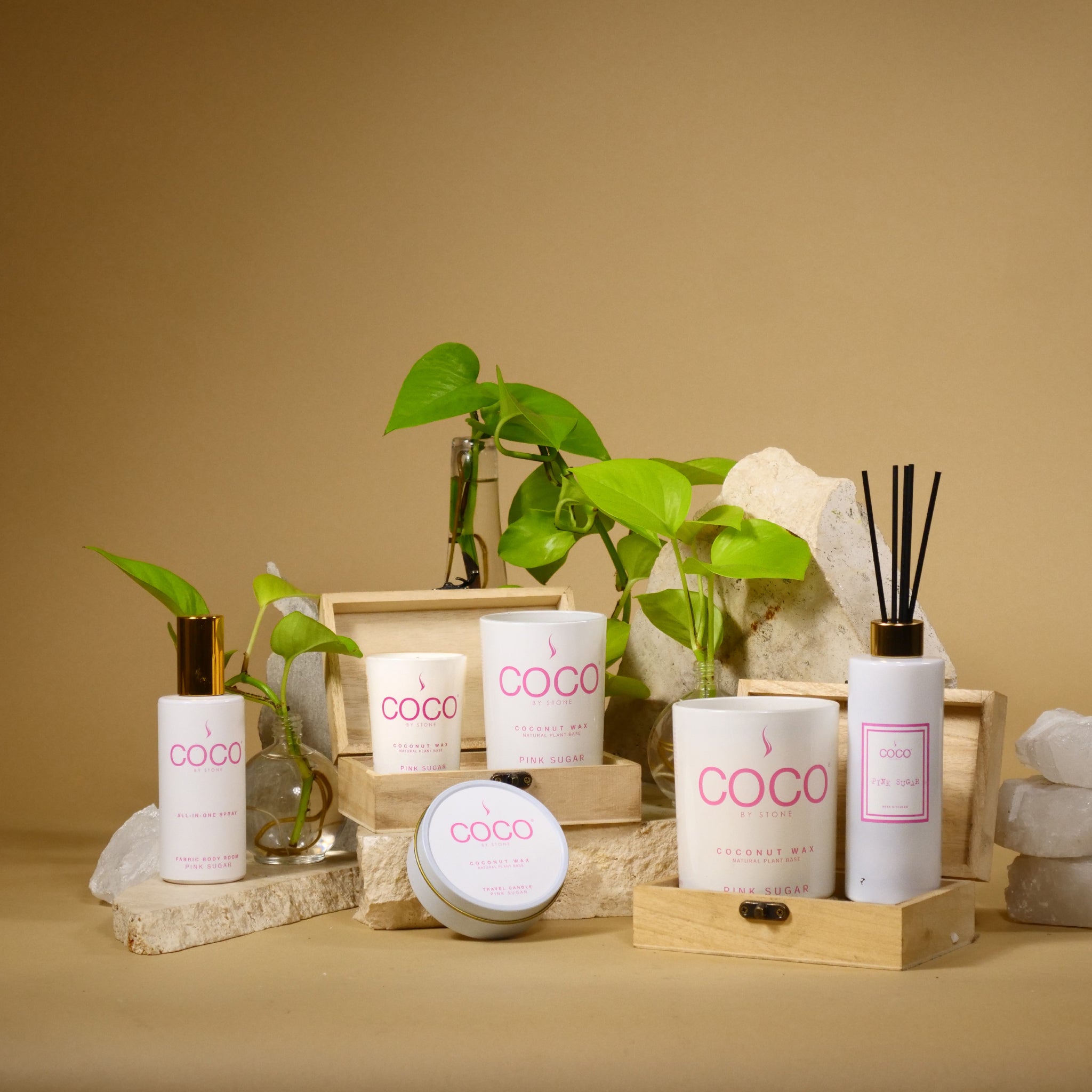 COCO_by_Stone_Pink_Sugar_Banner_4043eeb7-f1f4-4f0c-8ba8-05f52c98c4a3-group
