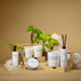 COCO_by_Stone_StoneFruit_Group_9f3ef4ef-9367-4eba-8d22-55ab260b4999