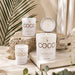 COCObyStone-Candles-Santal-Figuier-Oud_Wood-Group