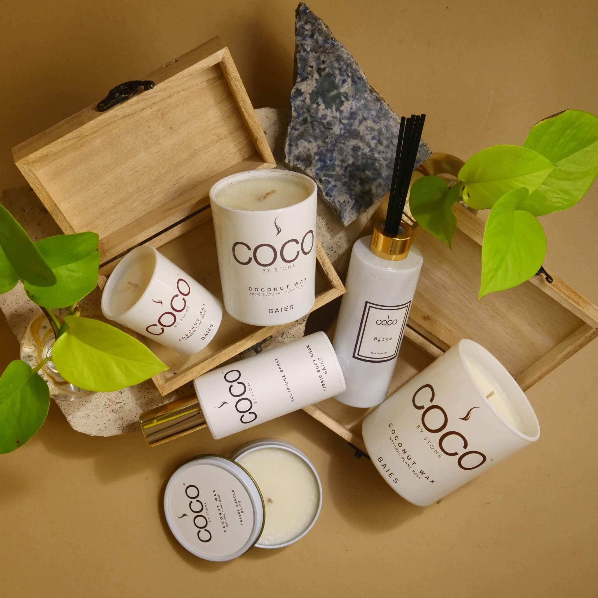 COCObyStone-Scent-Group-Baies
