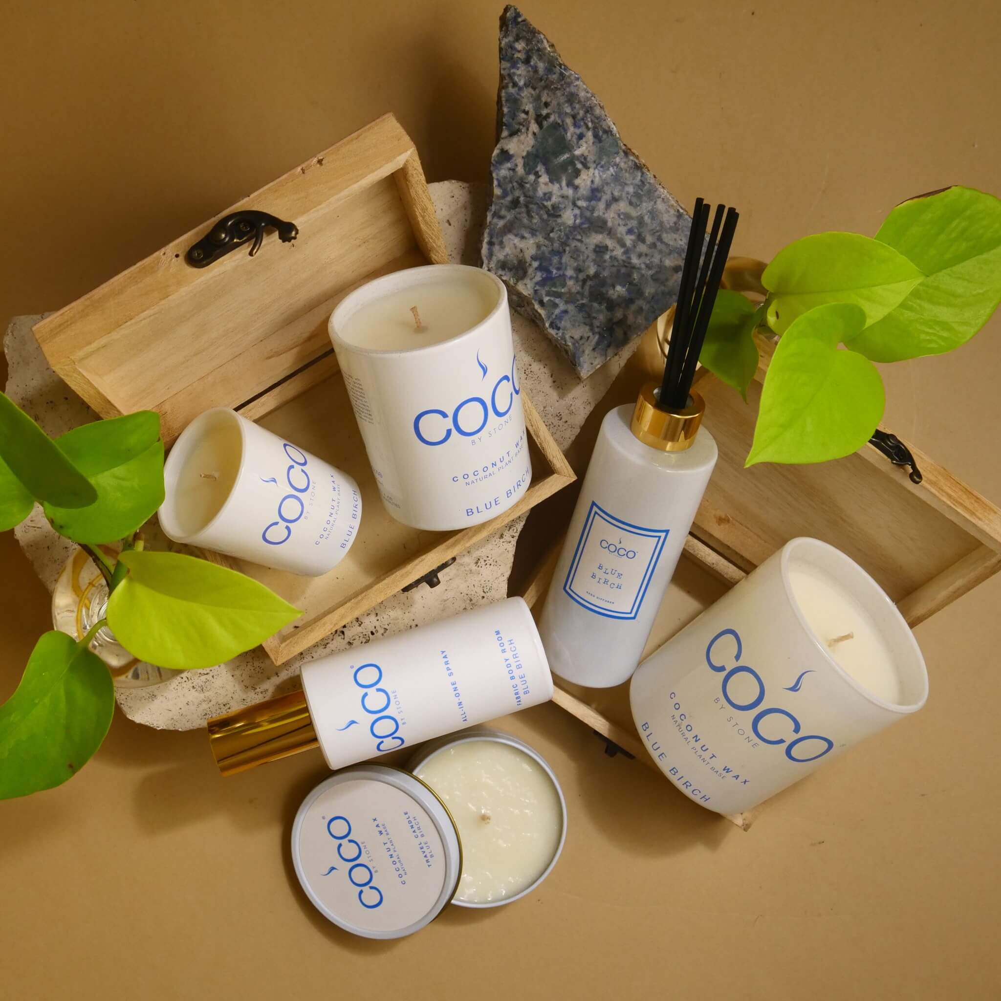 COCObyStone-Scent-Group-Blue-Birch