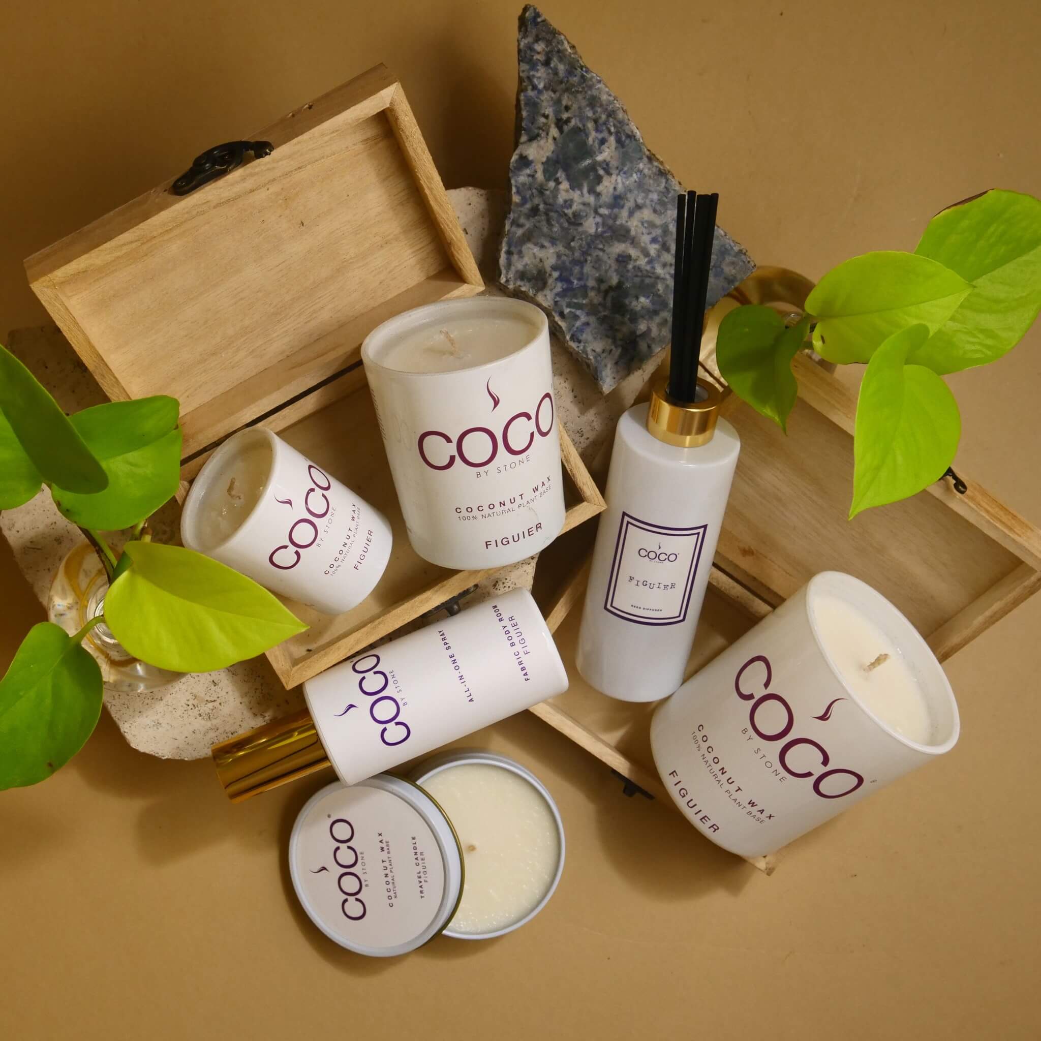 COCObyStone-Scent-Group-Figuier