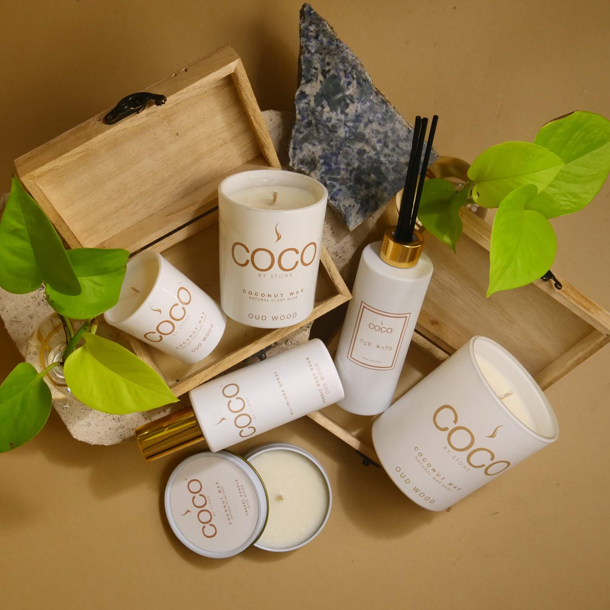5oz Oud Wood All-In-One Spray