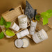 COCObyStone-Scent-Group-Santal