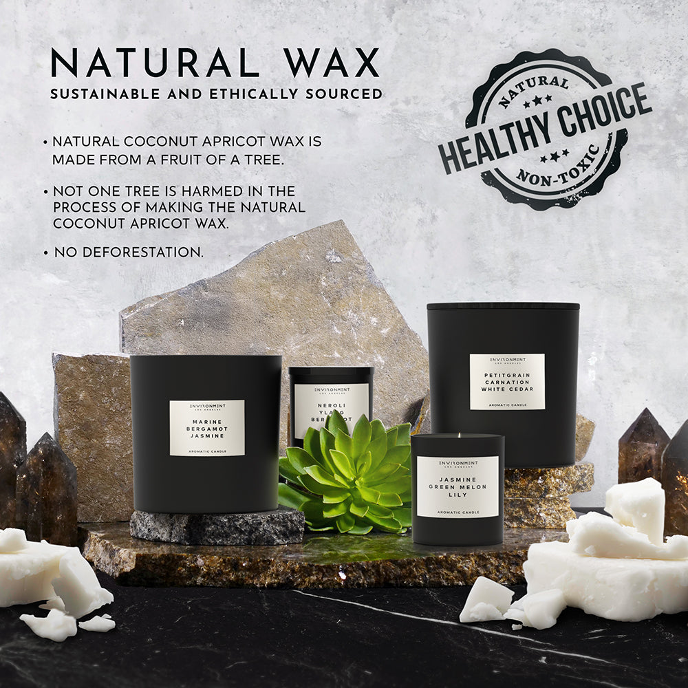 8oz Green Tea | Orange | Lemongrass Candle with Lid and Box (Inspired by Delano Beach Club Hotel®)
