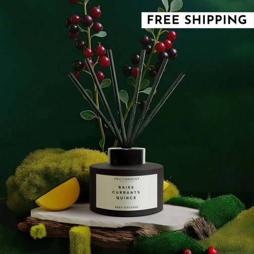 Baies Diffuser
