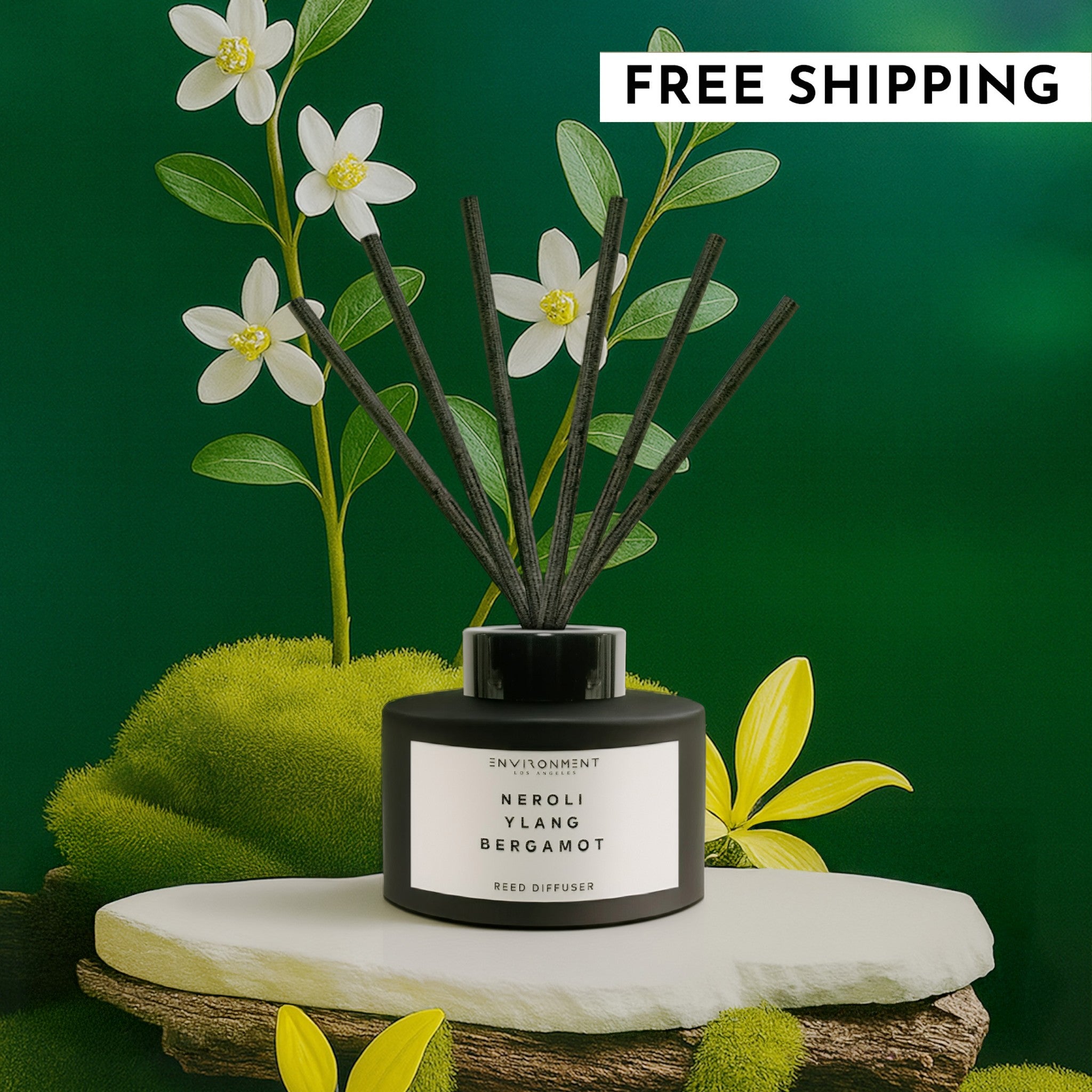 ENVIRONMENT 200ml Diffuser Chanel 5 Free Shipping