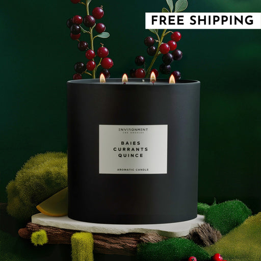 Baies Candle Inspired by Diptyque 55oz Luxury Jar