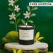 8oz Chanel Candle 