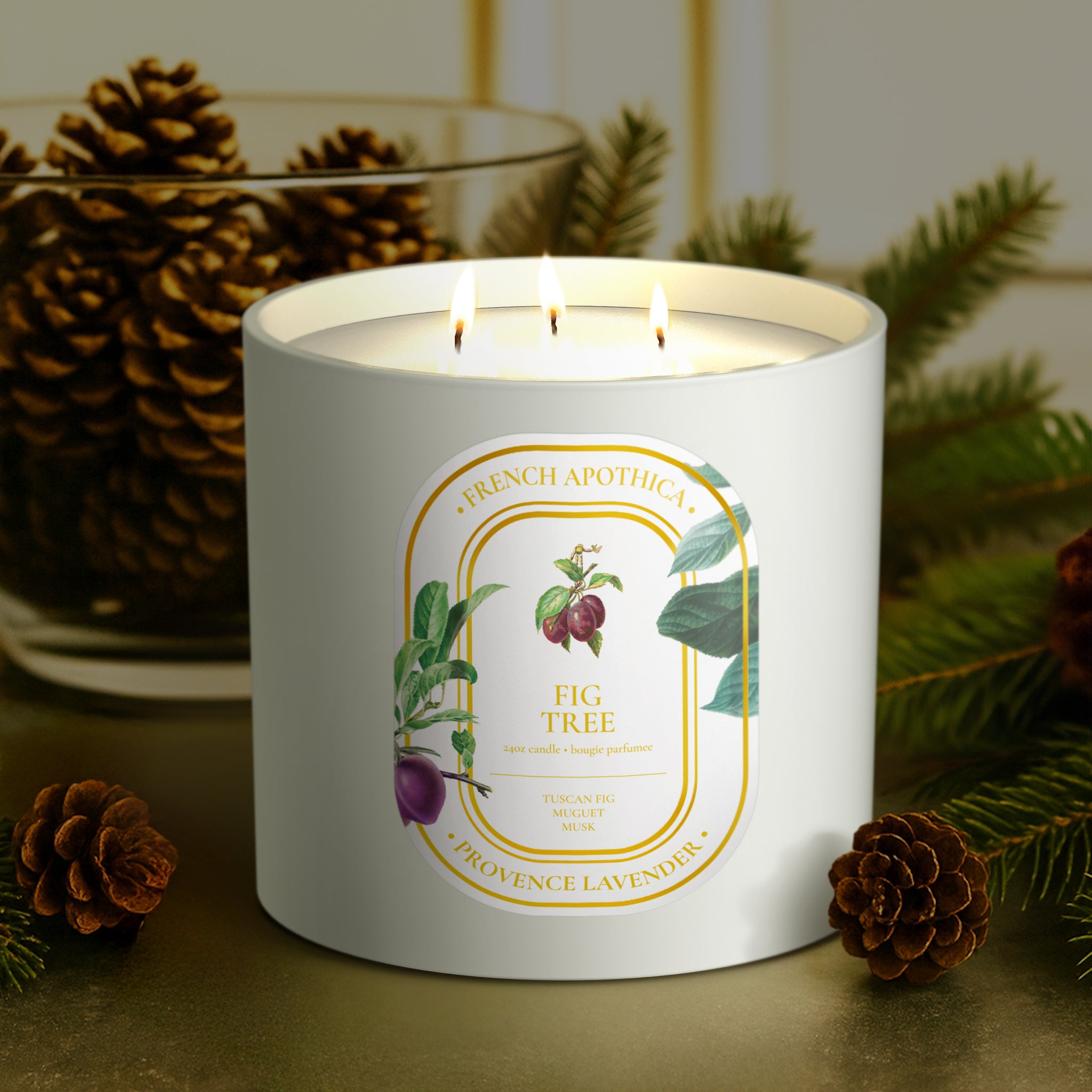 24oz French Apothica Fig Tree Candle