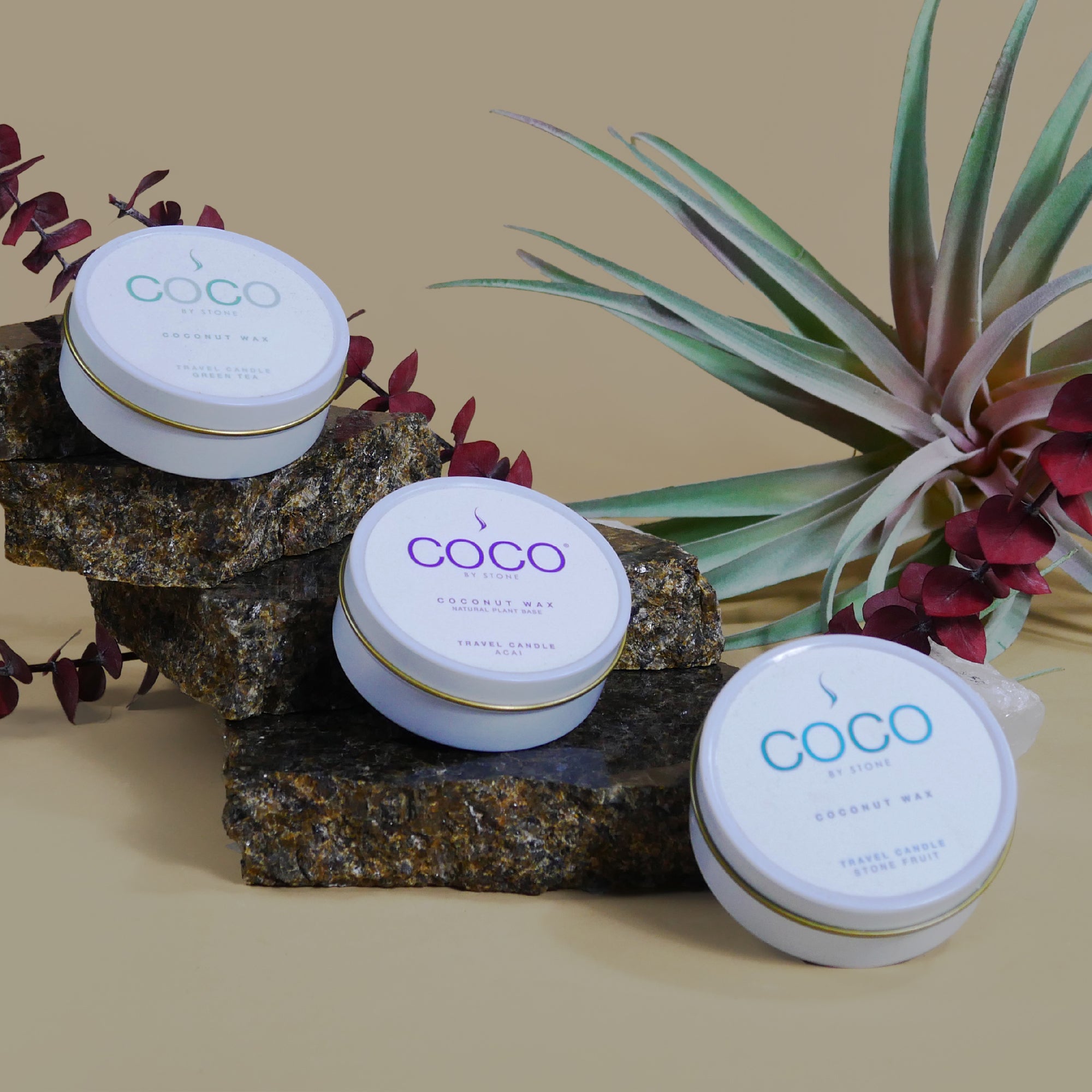 3.5oz Tiare Natural Coconut Apricot Wax Travel Tin Candle