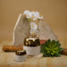 Stonecandles-Decor-White-and-Gold-Claire-Pot-3-Group