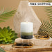 Stone Candles Scented Pillar Green Tea Fig #scent_Green Tea Fig