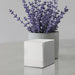#color_White_Matte