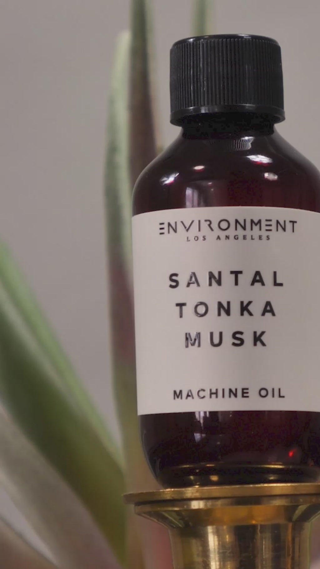 Reed diffuser refill presented in a minimalist home decor scene Video