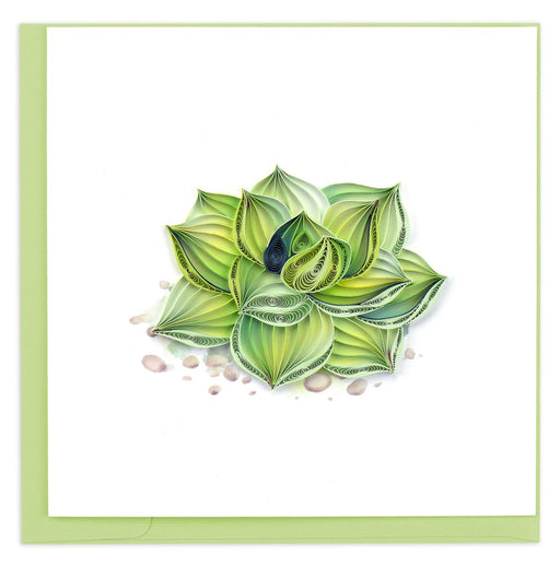 Message Card Succulent Plant